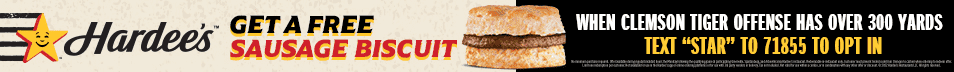 hardee's banner ad for google ads all words